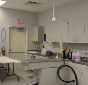 Spay & Neuter Center of Southern Nevada las vegas
