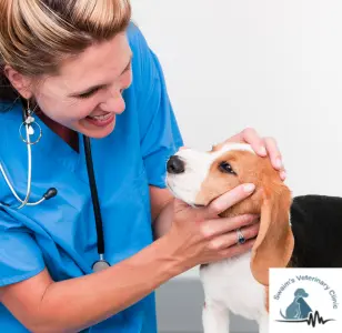 Swaim Veterinary Clinic oklahoma