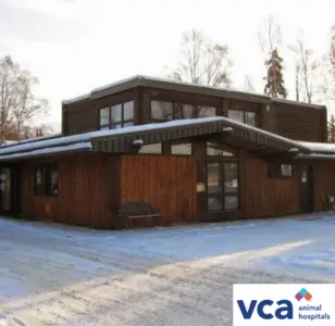 VCA East Anchorage Animal Hospital alaska