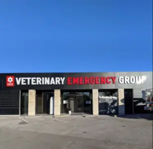 Veterinary Emergency Group texas dallas