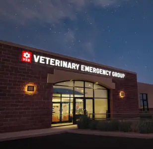 Veterinary Emergency Group tucson arizona