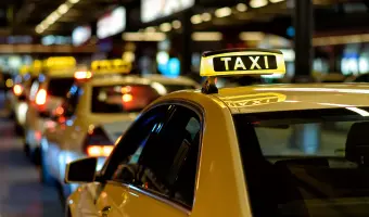servicios de taxis para perros en estados unidos