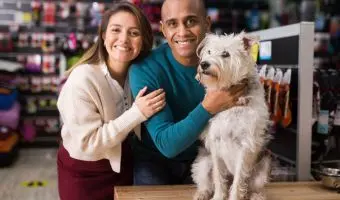tienda de perros en estados unidos