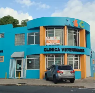 ABC clinica veterinaria animal best care puerto rico