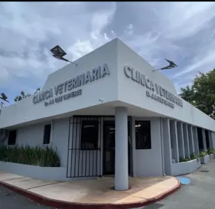 clinica veterinaria DR diaz umpierre puerto rico