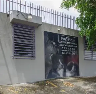 clinica veterinaria acuario puerto rico