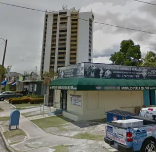 hospital de animales perla del sur ponce puerto rico