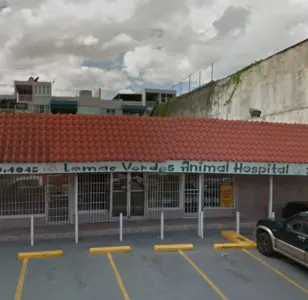 lomas verdes animal hospital puerto rico