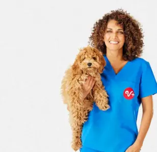 pets veterinary services ponce puerto rico
