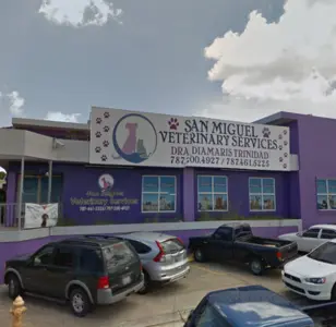 san miguel veterinary services puerto rico