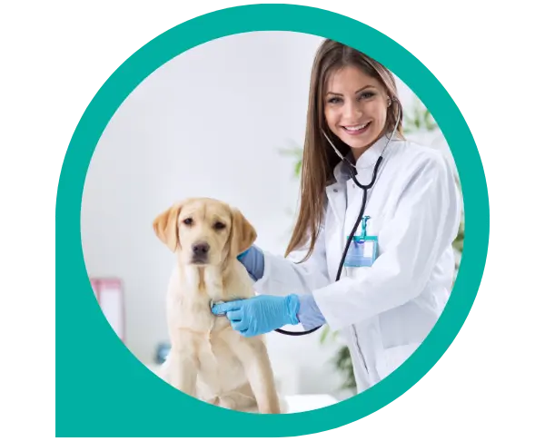 en que te ayuda un veterinario