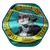 veterinarias en washington
