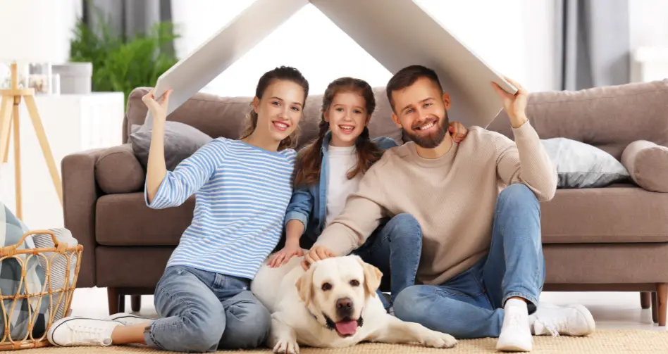 analisis y consejos para el cuidado en casa de tu perro