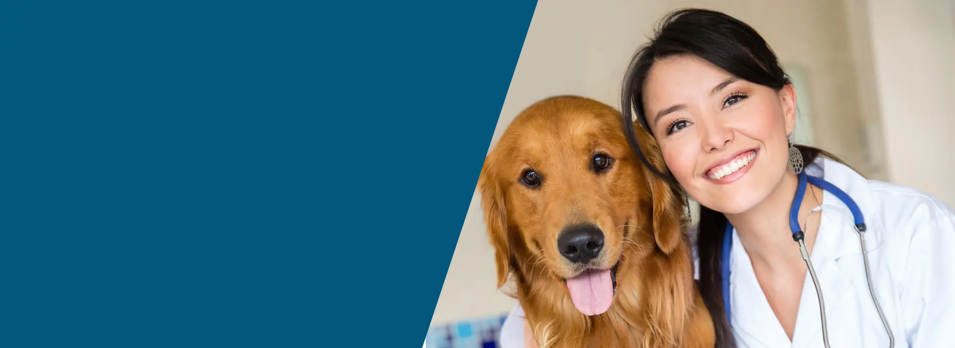 veterinario cerca de mi en español en estados unidos