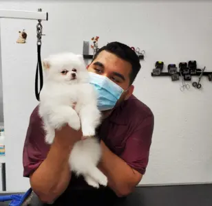 Abril’s Paw Spa LLC peluqueria canina en Arizona