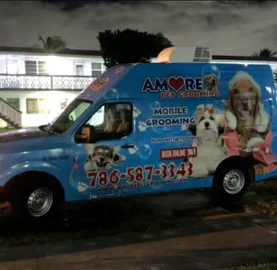 Amore Pet Grooming peluqueria canina en florida