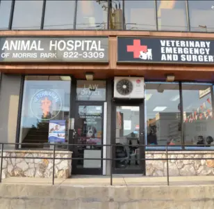 Animal Hospital of Morris Park veterinarias en bronx