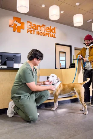 Banfield Pet Hospital clinica veterinaria en hialeah