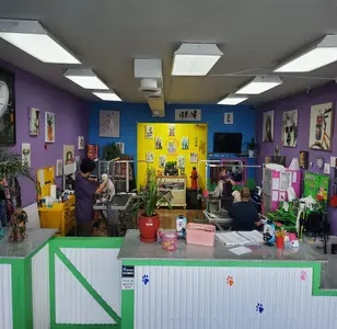 Betty and Friends Grooming peluqueria canina en arizona (2)