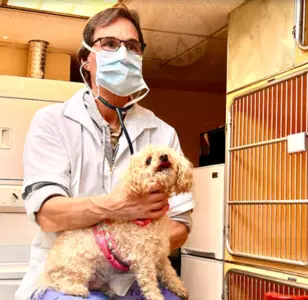 Broadway Animal Hospital of Riverdale veterinarias en bronx