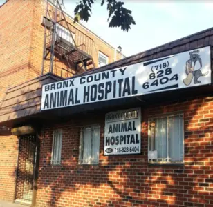 Bronx County Animal Hospital veterinarias en bronx