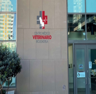 Centro Medico Veterinario At Ciudadela veterinaria en san juan puerto rico