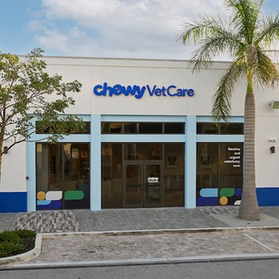 Chewy Vet Care Plantation clinica veterinaria en hialeah