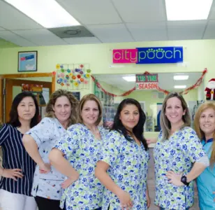 City Pooch peluqueria canina en miami