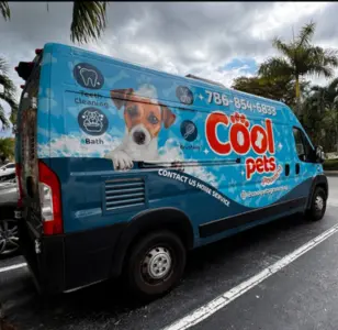 Cool Pets Grooming - Pet Groomer Miami peluqueria canina en miami