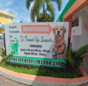 Hospital Veterinario Isla Verde veterinaria en san juan puerto rico