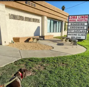 Loma Linda Animal Hospital san bernardino california