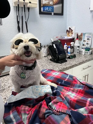 Lopez Animal Clinic clinica veterinaria en hialeah