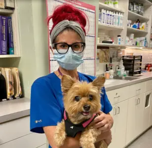 Middletown Animal Clinicveterinarias en bronx
