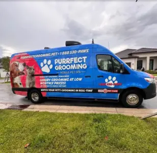 Purrfect Grooming - Mobile Pet Dog Grooming Miami peluquerias caninas en miami
