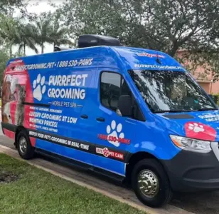 Purrfect Grooming - Mobile Pet Dog Grooming peluqueria canina en florida