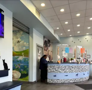 Riverdale Veterinary Group PC veterinaria en bronx