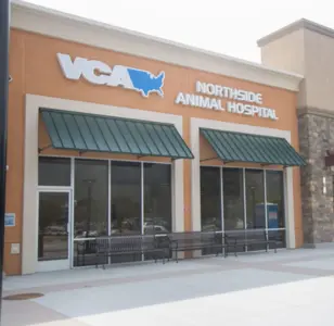 VCA Northside Animal Hospital san bernardino california