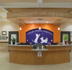 Valley Animal Hospital san benardino california