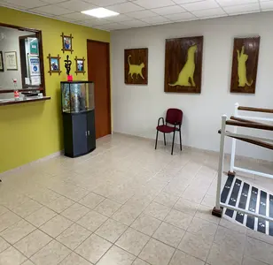 rio Piedras Veterinary Services veterinaria en san juan puerto rico