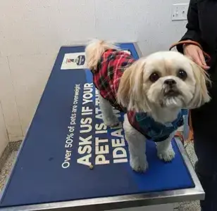 Bayonne Veterinary Medical veterinaria en newark new jersey