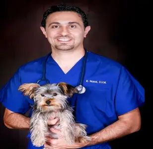 Beverly Robertson Veterinary Clinic veterinaria en los angeles california