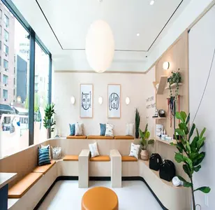 Bond Vet Astoria veterinaria en queens new york