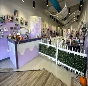 Doggy N Styles peluqueria canina en colorado