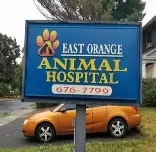 East Orange Animal Hospital veterinaria en newark nueva jersey