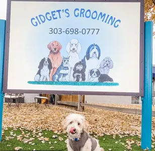 Gidgets Grooming peluqueria canina en colorado