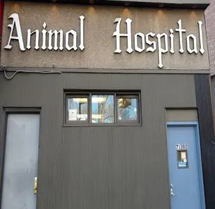 Heights Animal Hospital veterinaria en queens new york