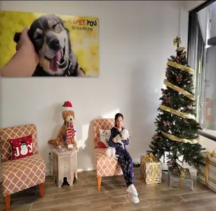 I pet you grooming peluqueria canina en houston