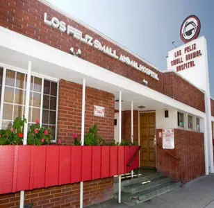 Los Feliz Small Animal Hospital veterinaria en los angeles california