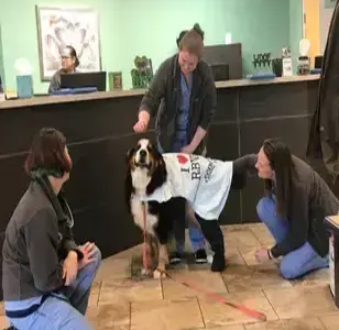 Red Bank Veterinary Hospital (RBVH) - Hillsborough veterinaria en newark new jersey