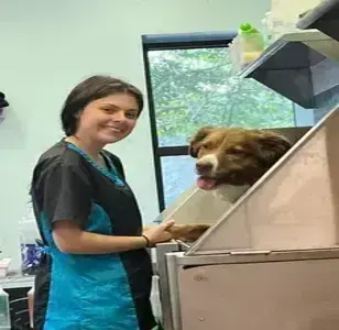 Rub a Dub-Dog Bathhouse and Spa